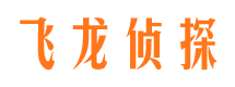 江苏调查公司